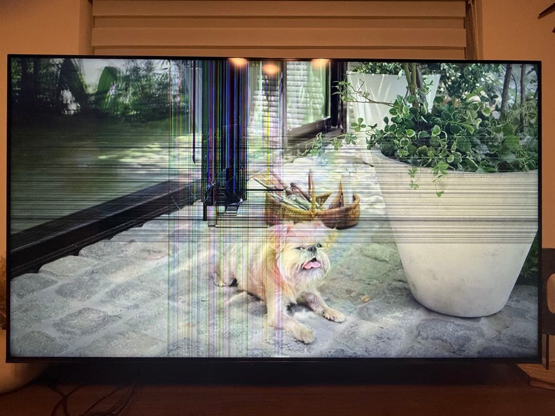 【液晶割れあり】Hisense 液晶テレビ 65U8N 65V型 2024年製