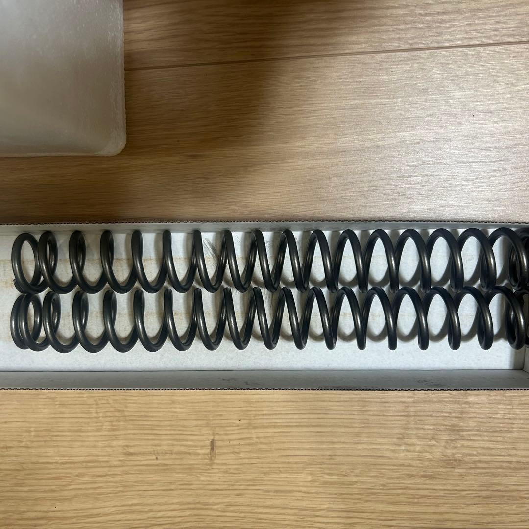 道*坊様 ZRX1200ダエグ純正フロントフォーク