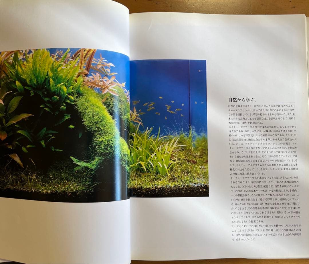 THE NATURE AQUARIUM ADA CONCEPT 1995年発行