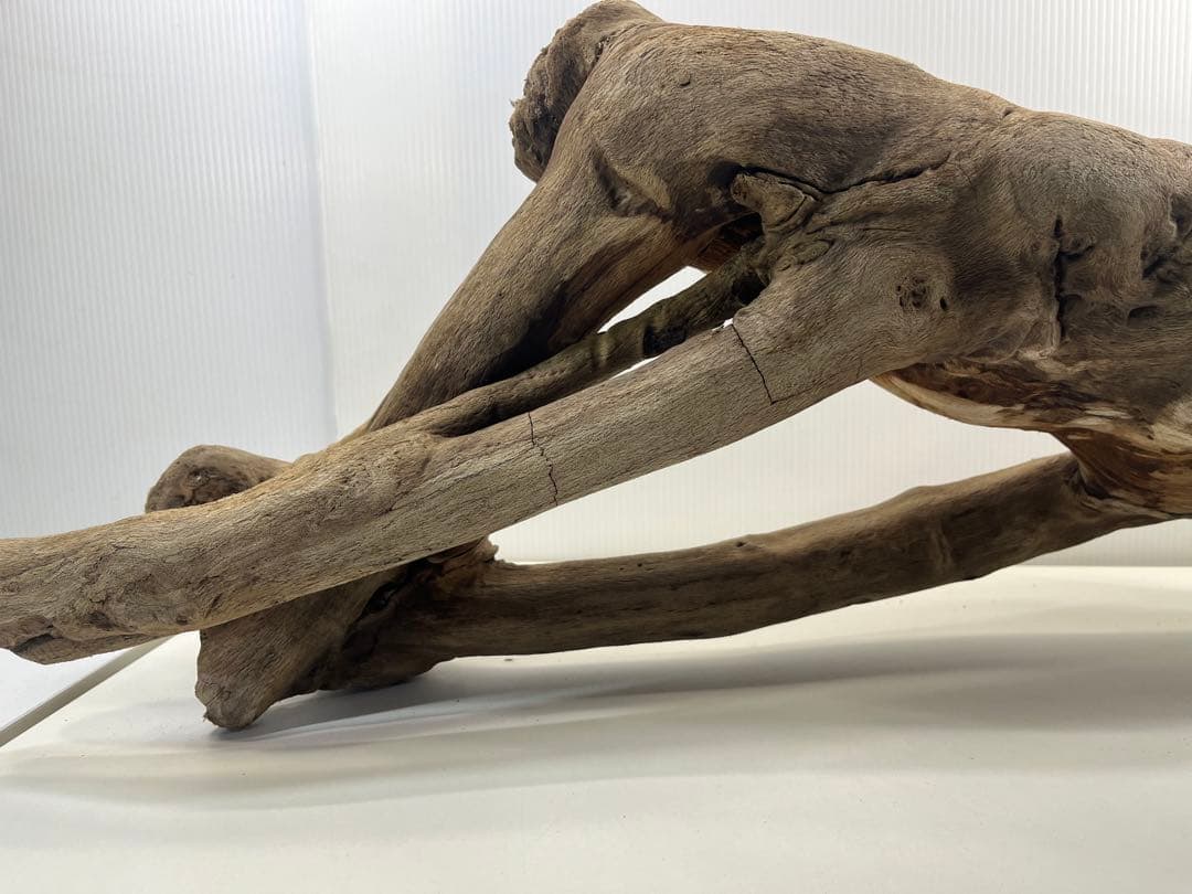 A16大型流木 アク抜き済み流木 爬虫類シェルター 登り木 インテリア 生け花