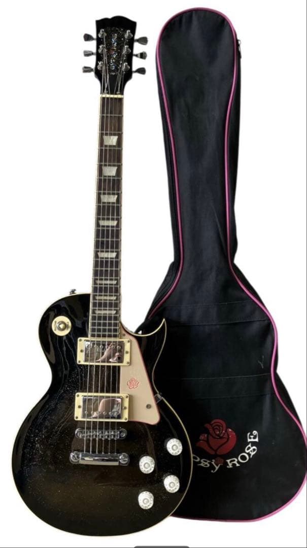 GYPSY ROSE ジプシーローズ レスポールタイプ　ソフトケース付き