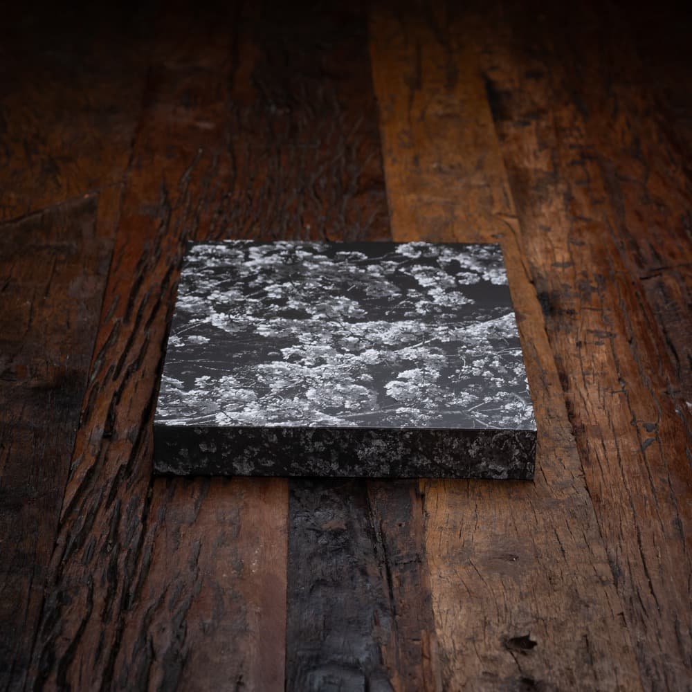 【新品同様】記録 Record 2 by Daido Moriyama 森山大道