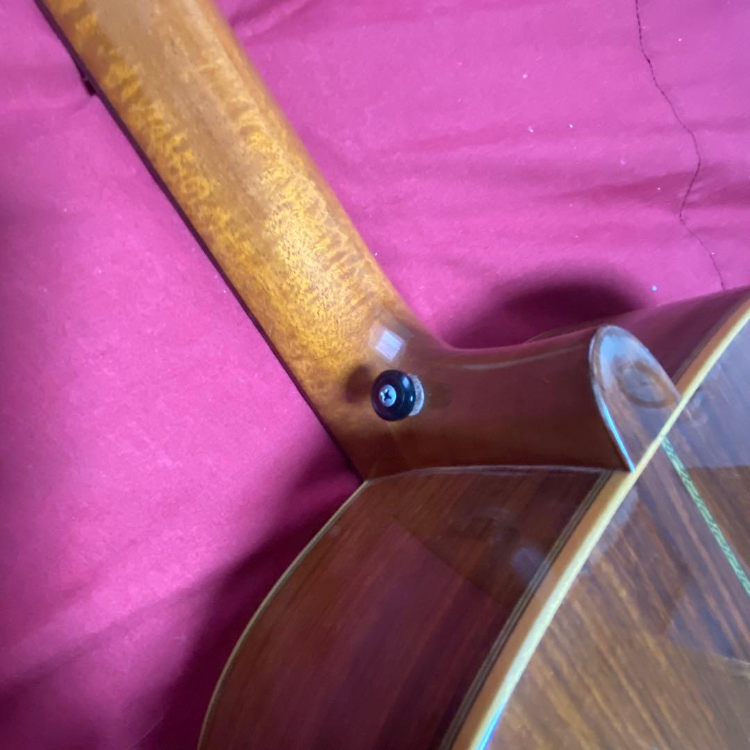 ギター ASTURIAS J-SPECIAL