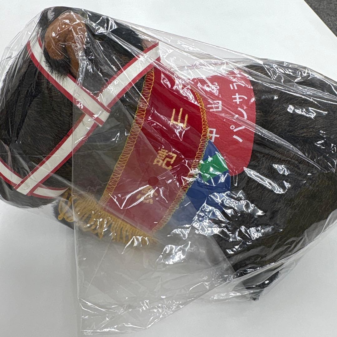 第90回中山記念　パンサラッサ