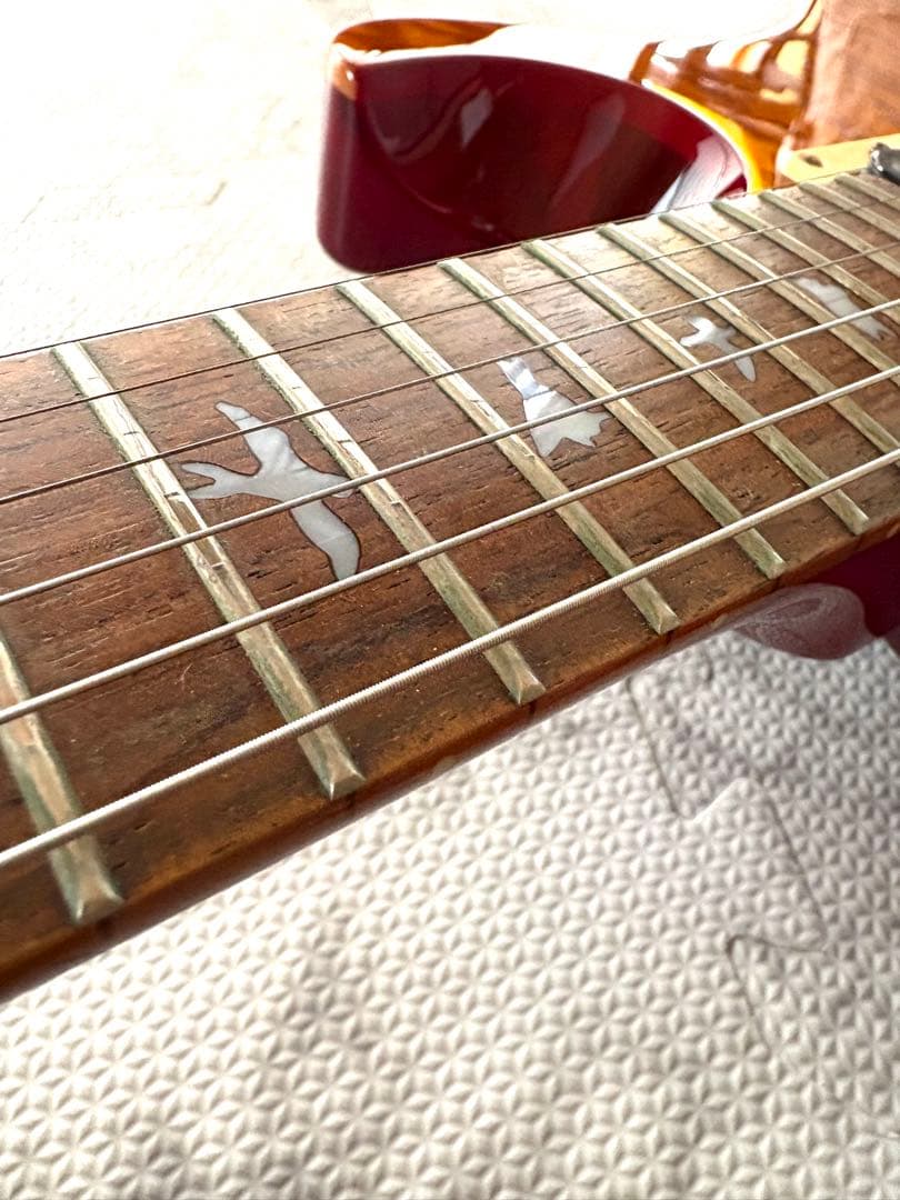 PRS SE Custom　ポールリードスミス　　　　　ケース付き