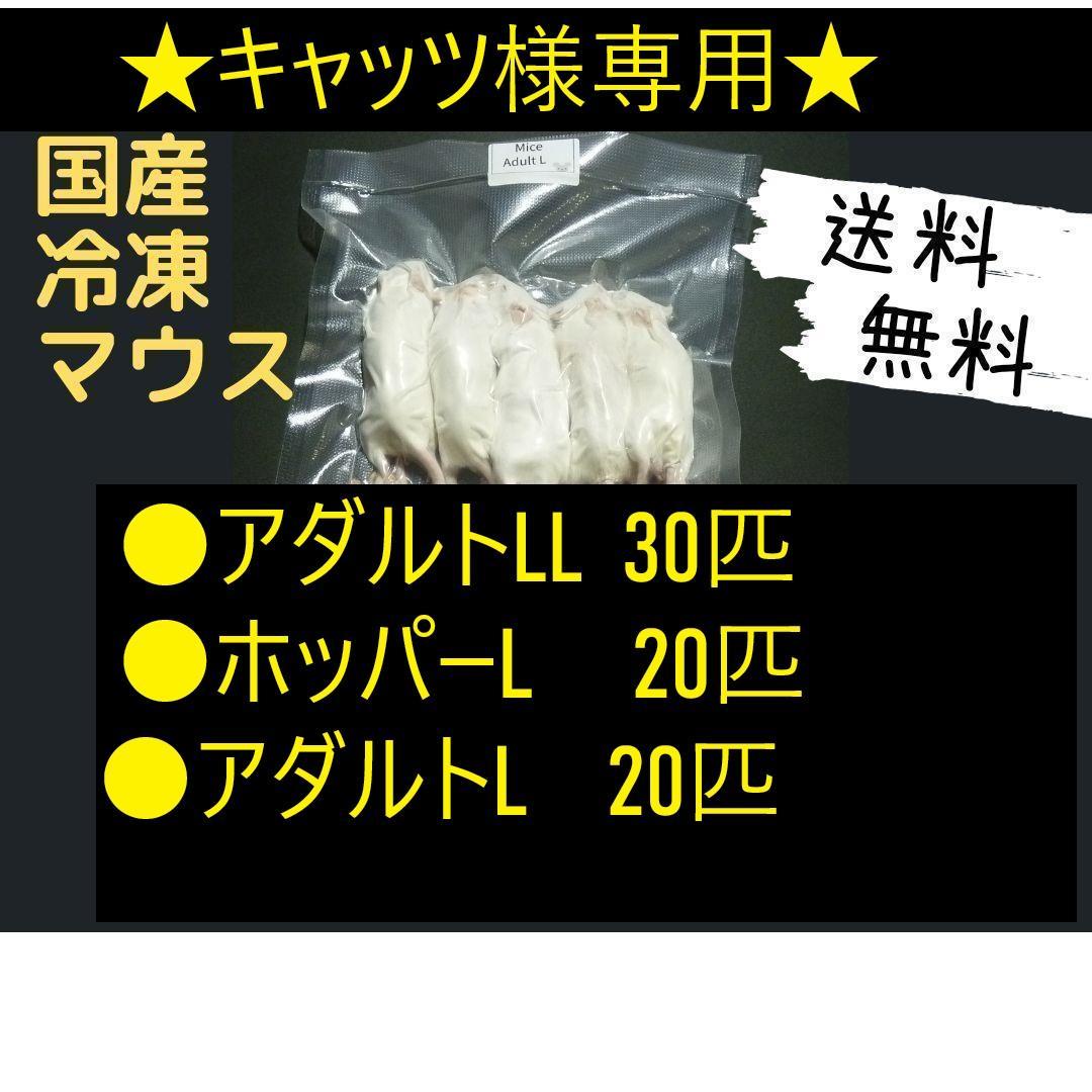 ★キャッツ★国産 冷凍マウス　リクエスト品