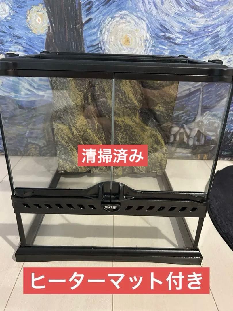 エキゾテラ グラステラリウム 3030、ヒーターマット付き