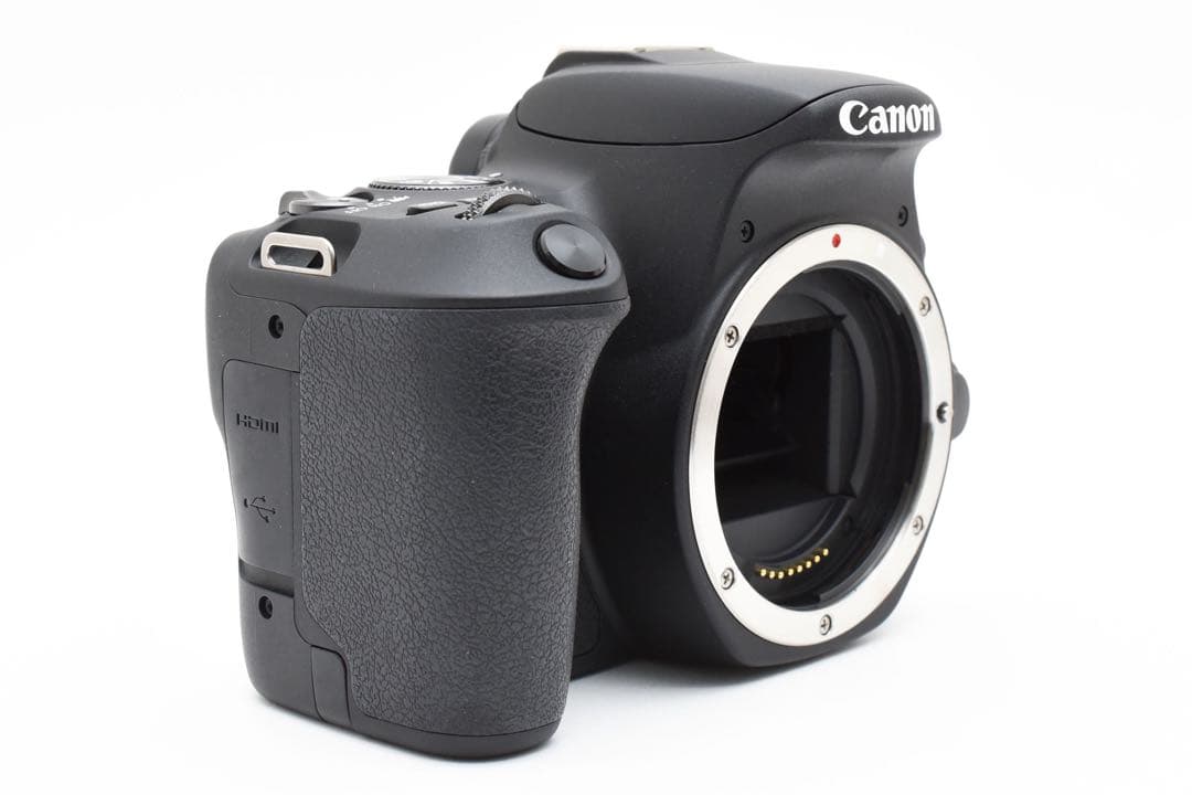 Canon EOS Kiss X9標準&望遠&単焦点トリプルレンズセット