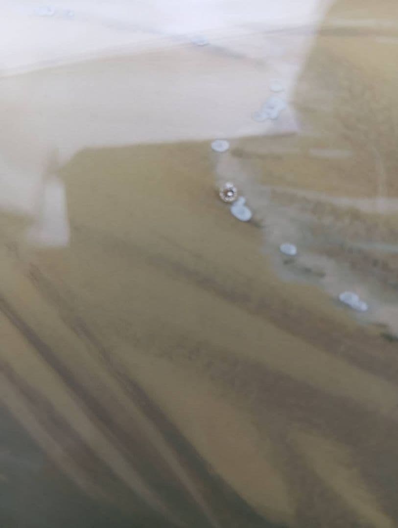 最終値下げ　ジョンアルホーグ　パームパラダイス　ダイヤ2個　ハワイ　海