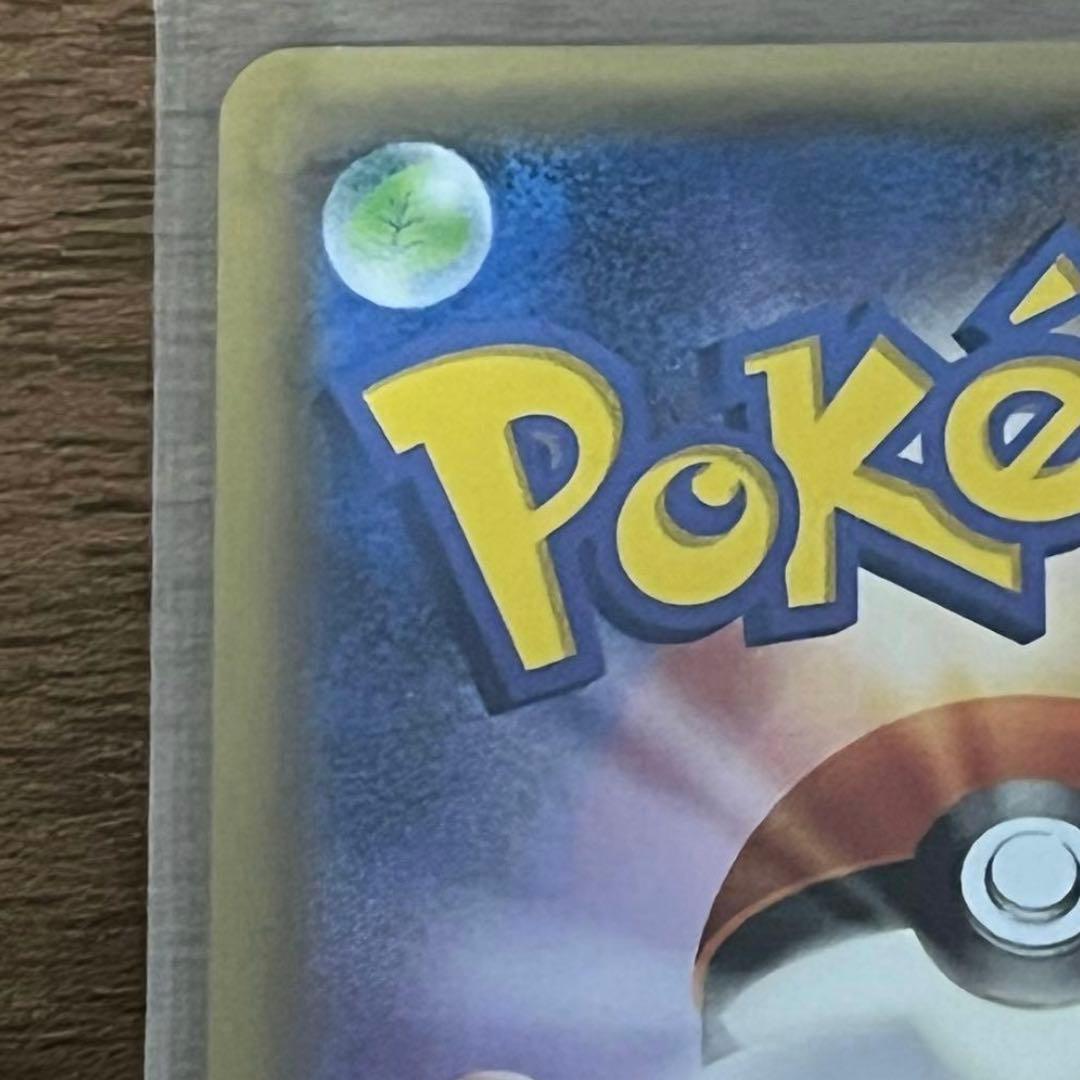 ポンチョを着たピカチュウ　黒　レックウザ