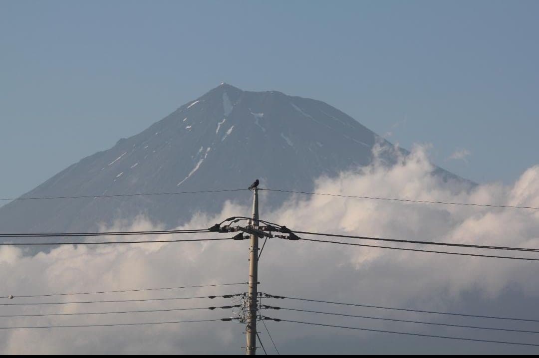 【あ 】シグマ APO 150-500mm F5-6.3 DG キャノン用