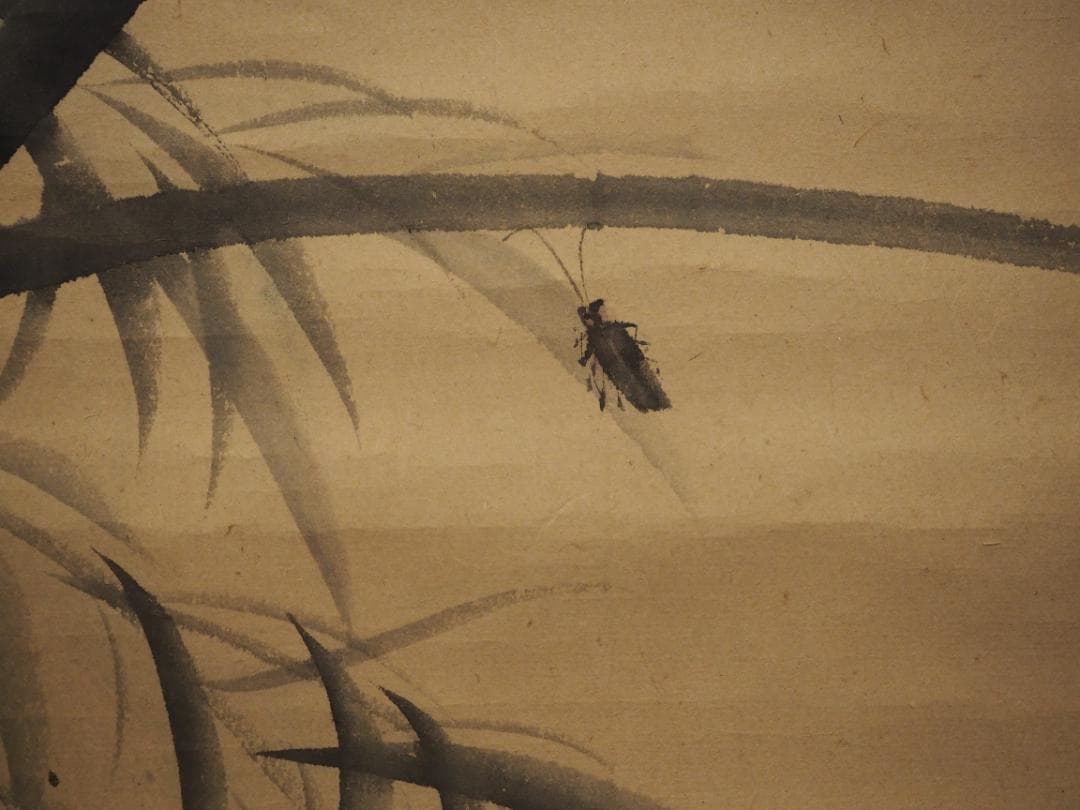 松村景文自筆『柳に蛍之図』掛軸　江戸後期