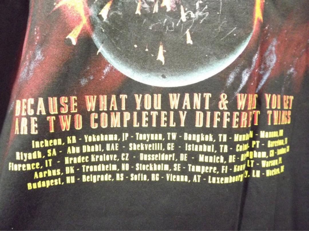 L 新品 GUNS ガンズアンドローゼズ 2025 ロンT　ロングTシャツ