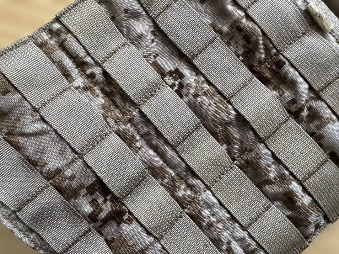 実物 EAGLE aor1 レッグパネル 01/07