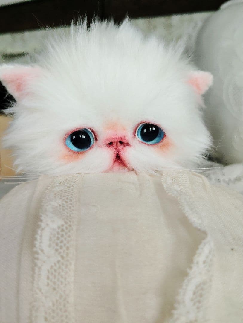 よちよち〜短足♡ころころボディ♡エキゾチック子猫ちゃん♡アートドール♡ぬいぐるみ