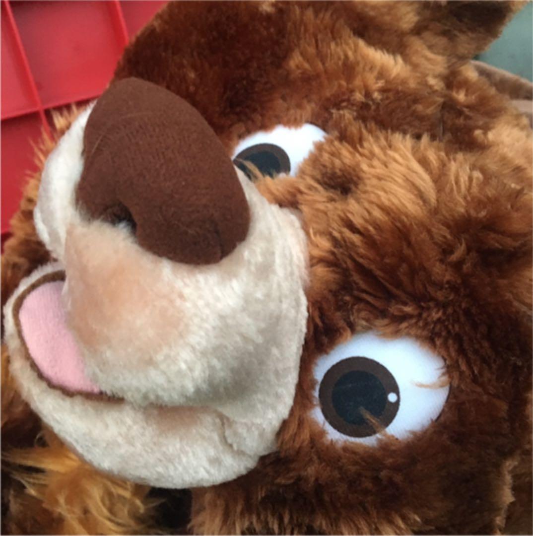 激レア！　限定品！　ディズニー　Disney ブラザーベアー　着ぐるみ　防寒