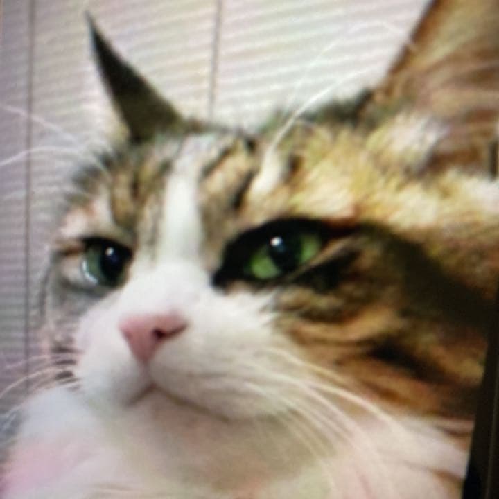 よろしくお願い申し上げます。