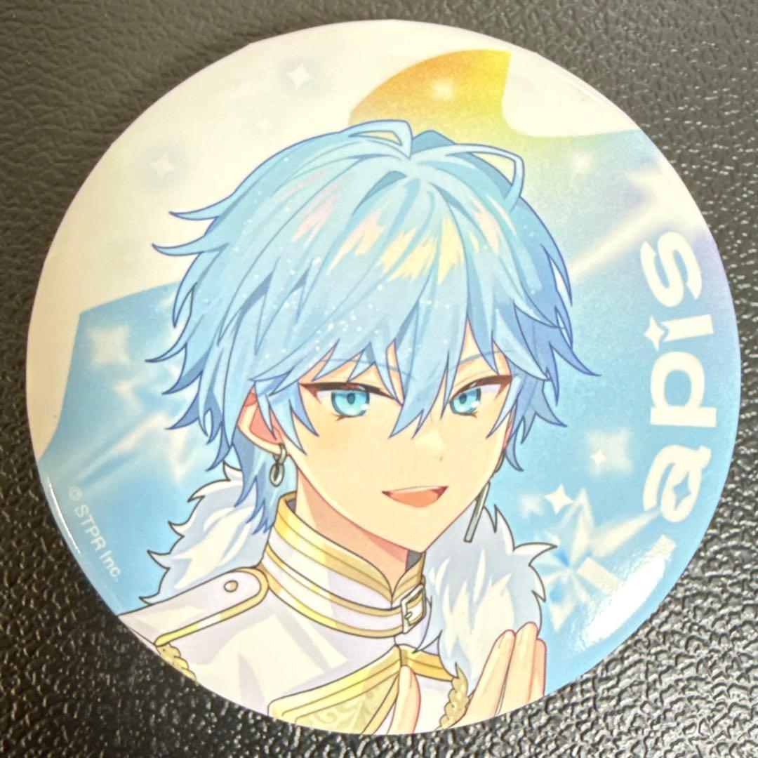 Lapis すとふぇす 2026 等身 めておら 缶バッジ 31点