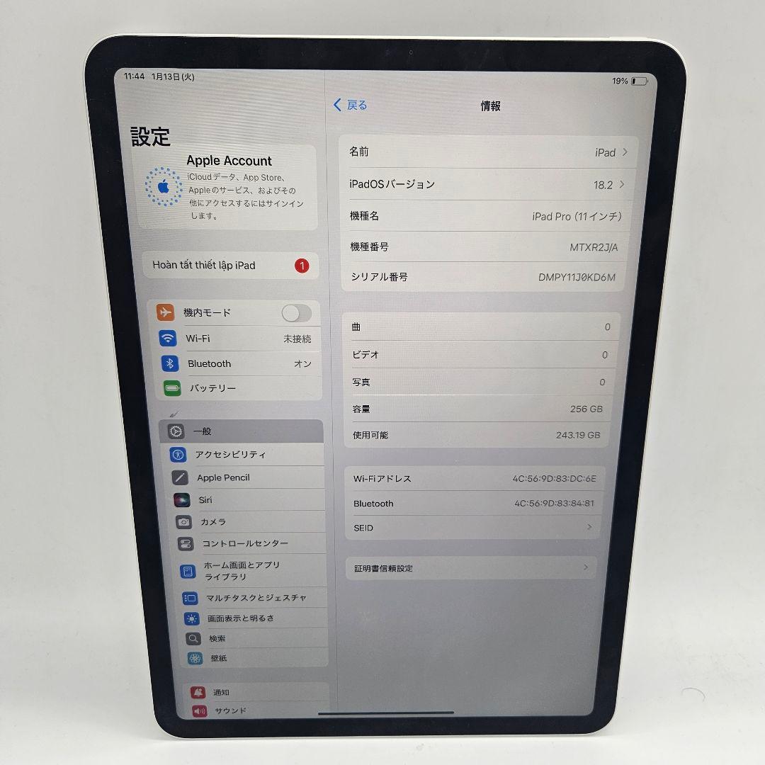 iPad Pro (11 インチ) 256 GB - Wifi Only
