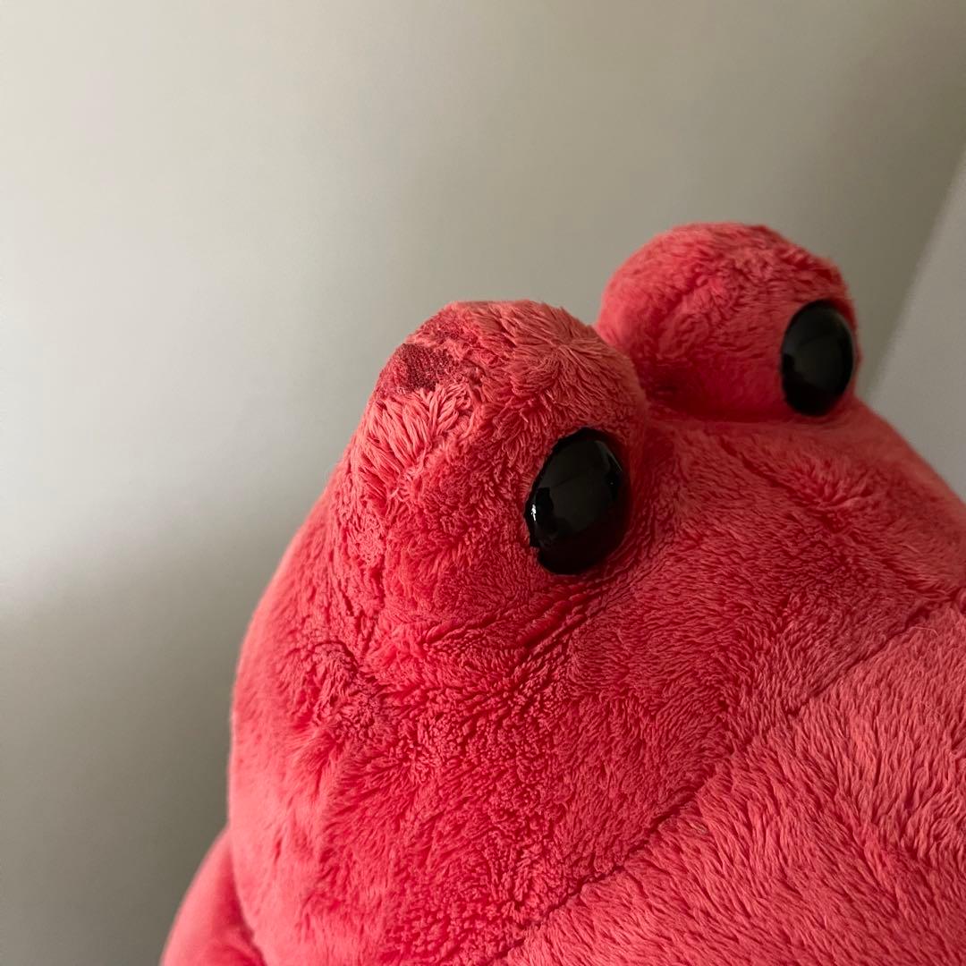 NICI カエル　80cm