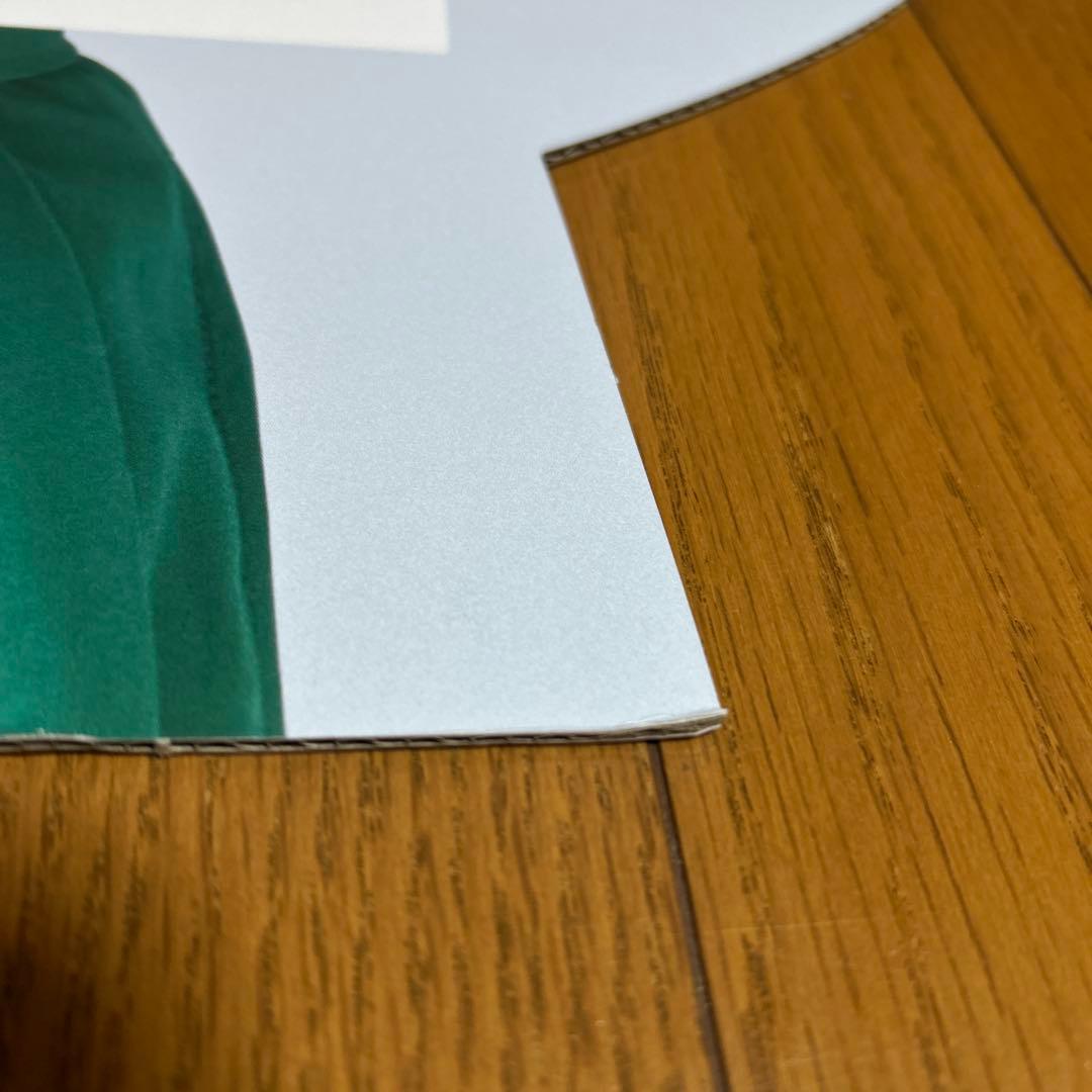 有村架純 パネル 2枚セット( ´͈ ᵕ `͈ )♡