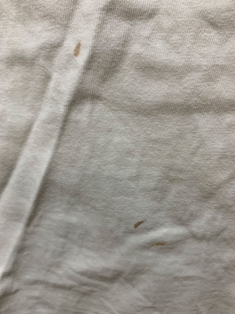 STUSSYオールドステューシー スカル フラワー　Lサイズ