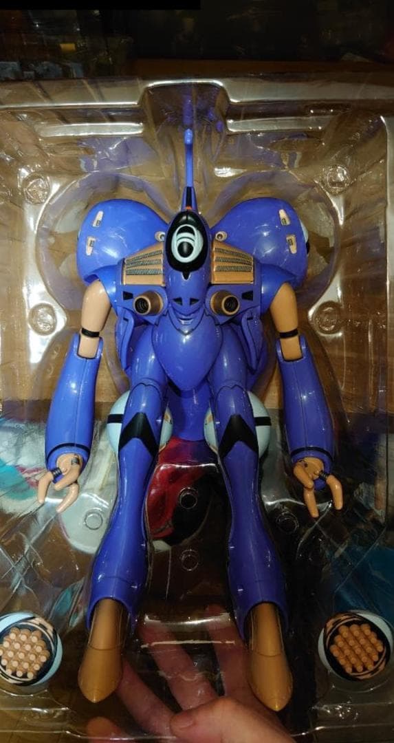 クリアランスセール QUEADLUUN-RAU MAXIMILIAN J