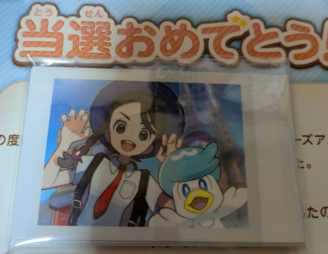 (Twitter当選品)POKÉMON TRAINERS フォトカード10枚