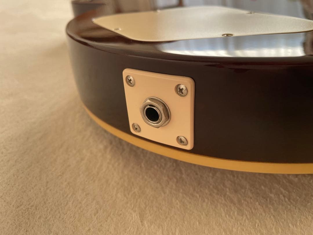 ギター Ephiphone Les Paul Standard