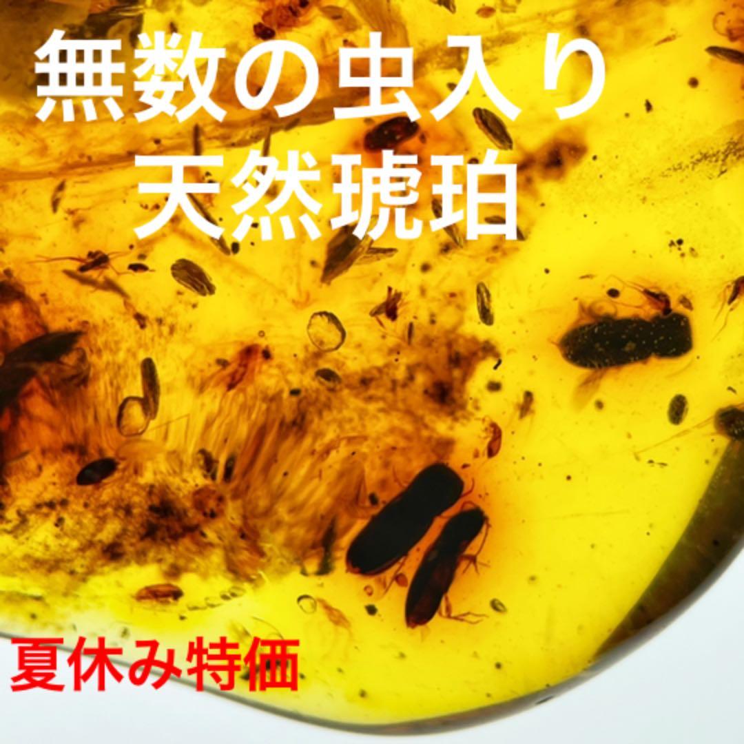 大粒　天然虫入り琥珀　アンバー　夏休み　自由研究　化石　恐竜