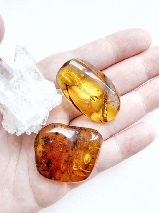 大粒　天然虫入り琥珀　アンバー　夏休み　自由研究　化石　恐竜