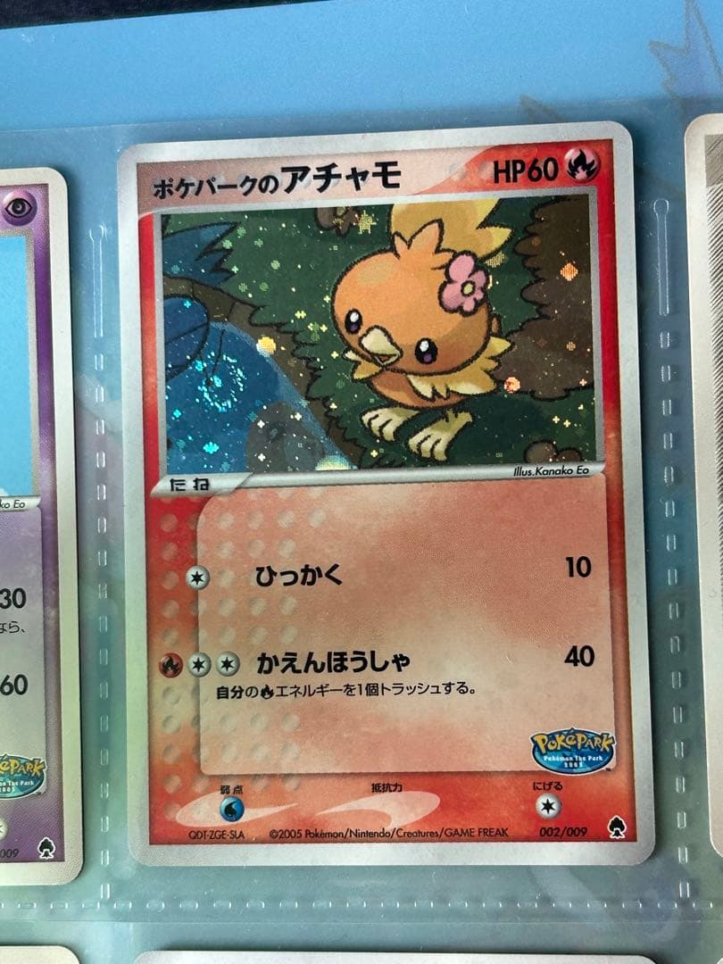 ポケパーク　フォレストシート