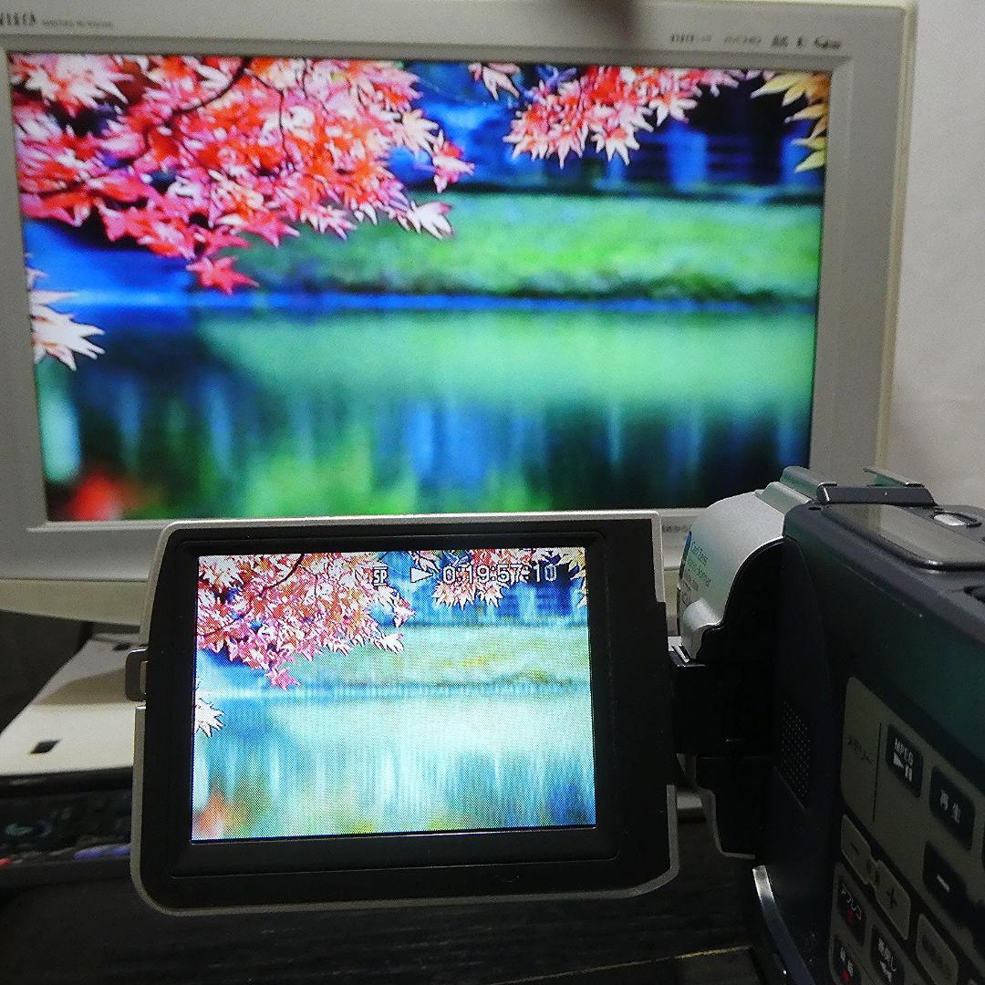 動作品 ソニーDCR-TRV107 MiniDV ビデオカメラ DVDダビングに