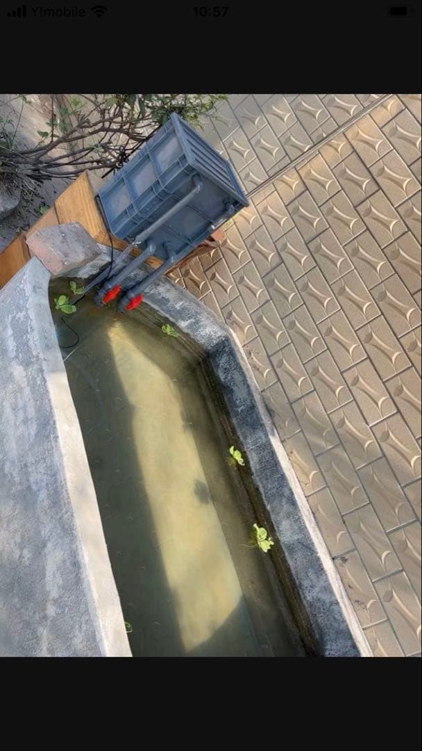 濾過器 45wポンプ付き池フィルター万能濾過装置 池フィルター最高濾過装置大