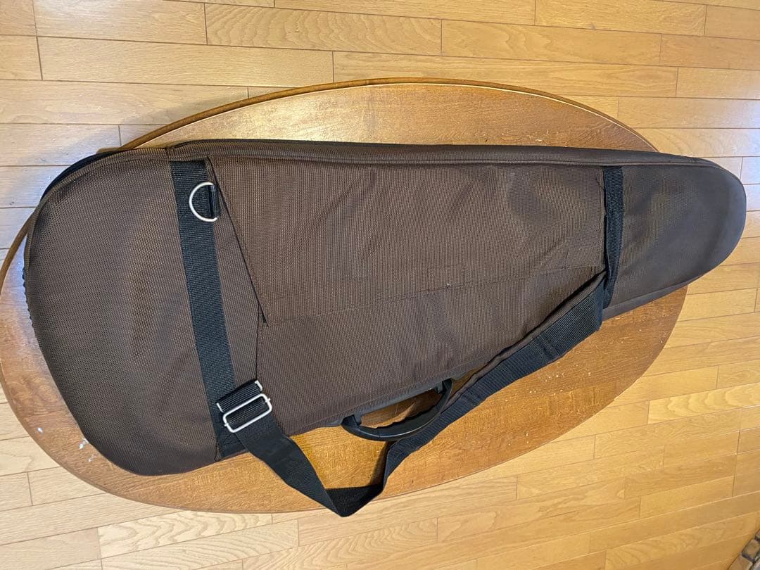 ギター vanzandt stv-r1