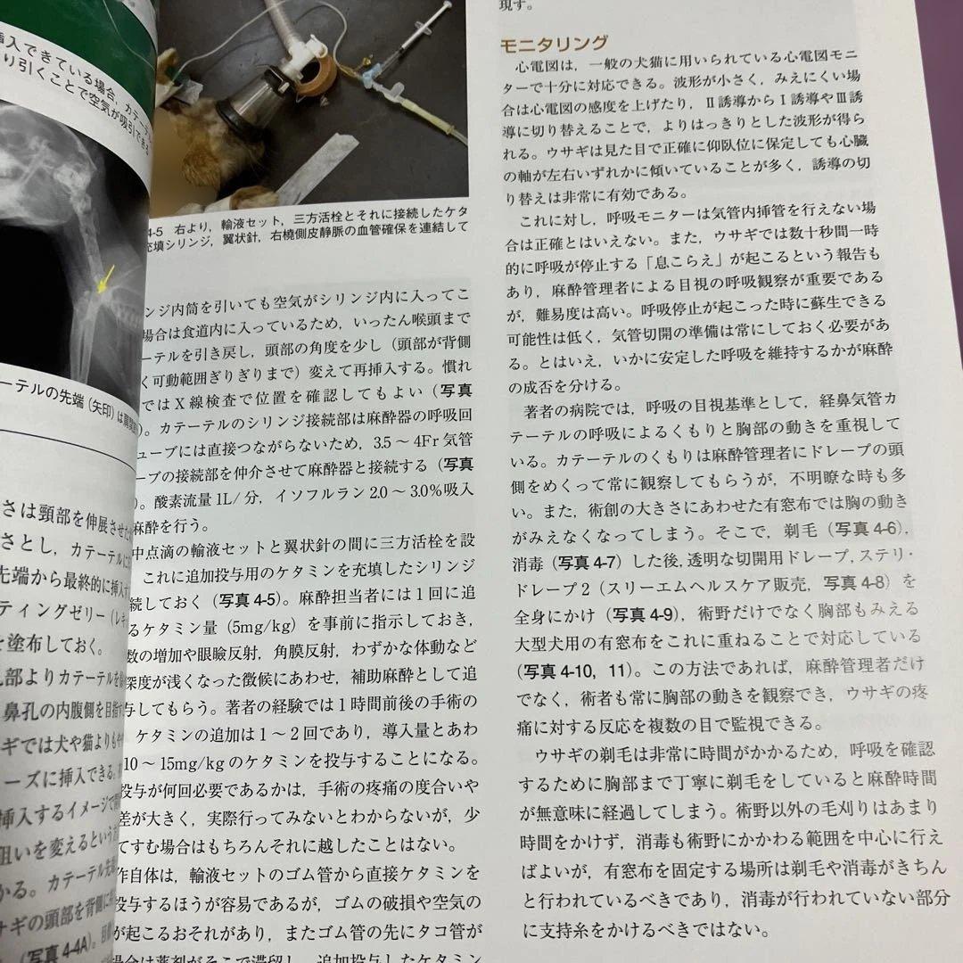 定価15400円　できる!!ウサギの診療　沖田将人　エデュワードプレス