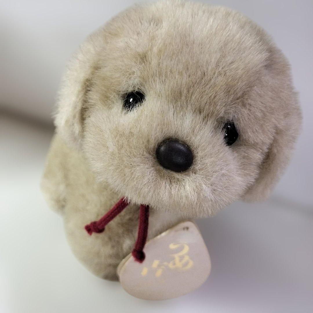 うめ吉　あやか 犬のぬいぐるみ 2体セット