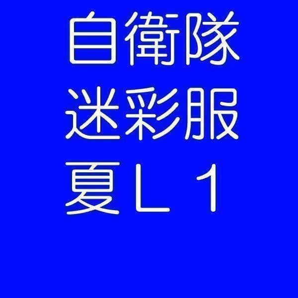 陸上自衛隊 迷彩服　夏　L１