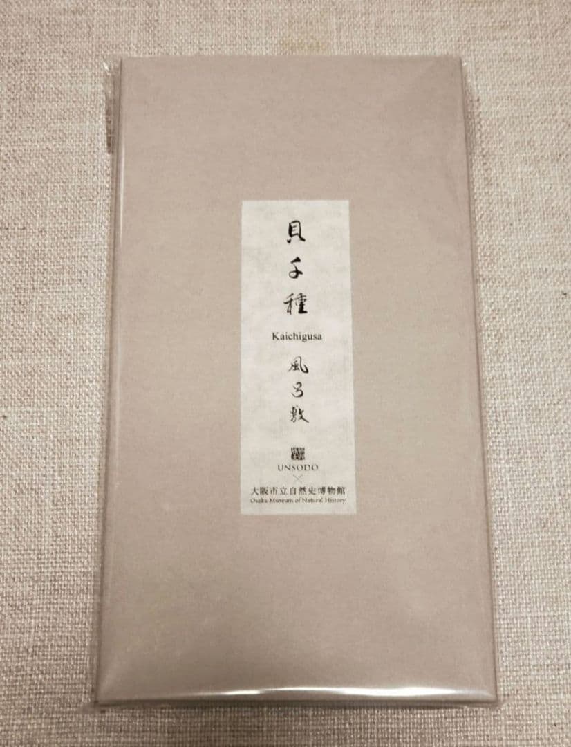 【未開封】貝千種