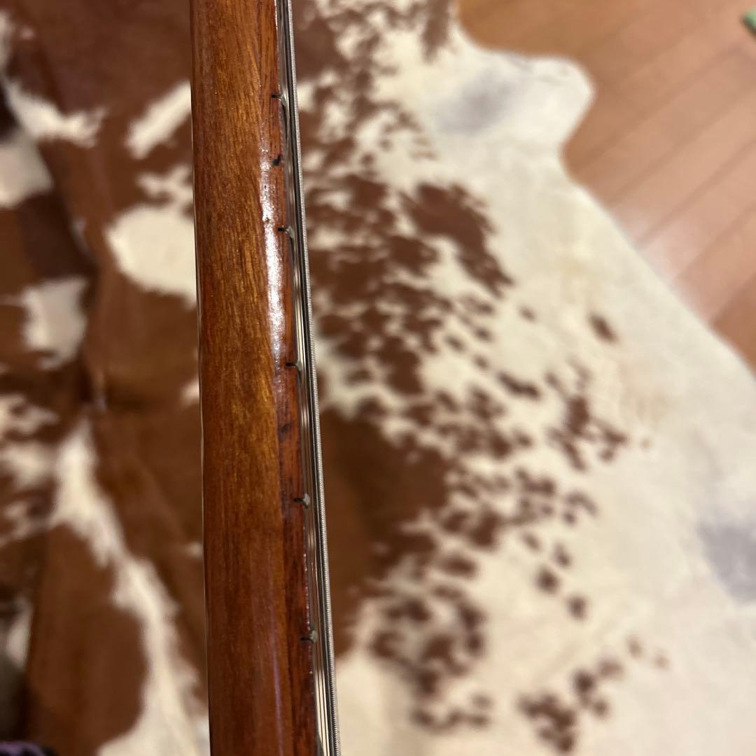 Gibbon ギブソンSGタイプ　ジャパニーズビンテージ　ビザールギター