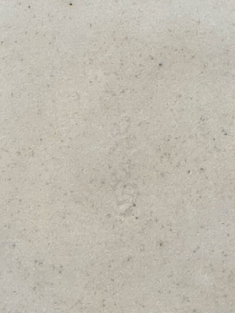 茶道具　香合　真葛香斎　扇