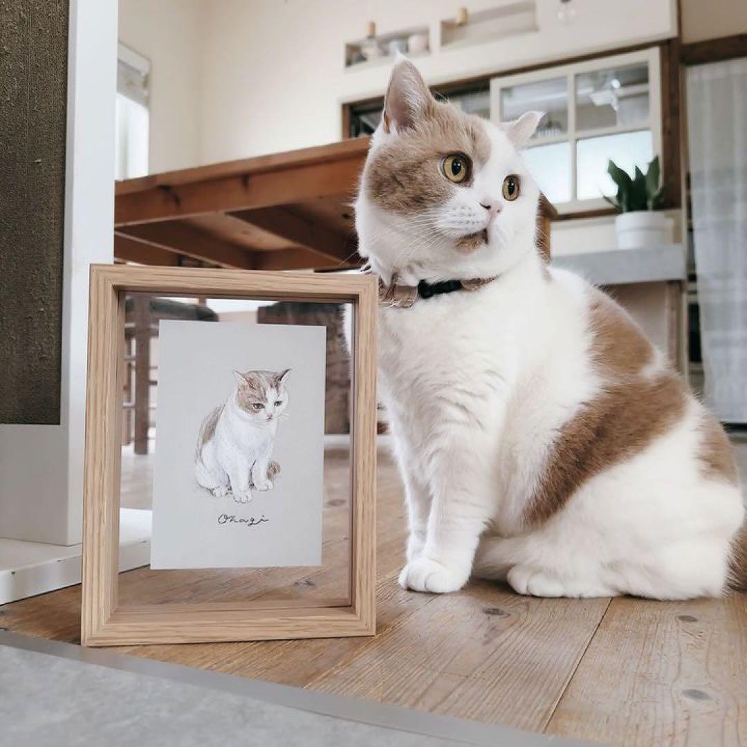 似顔絵　ペット　色鉛筆　うちの子　グッズ