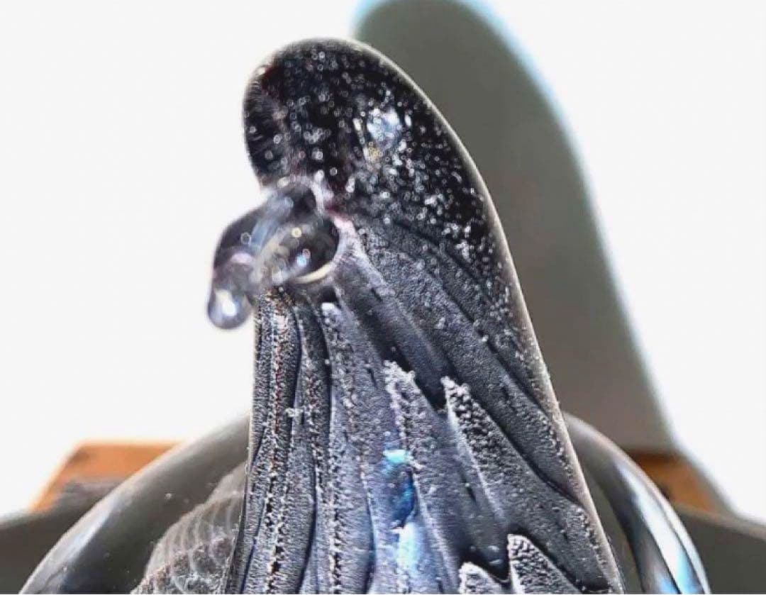 Marcolin ガラス製 鳥のオブジェ