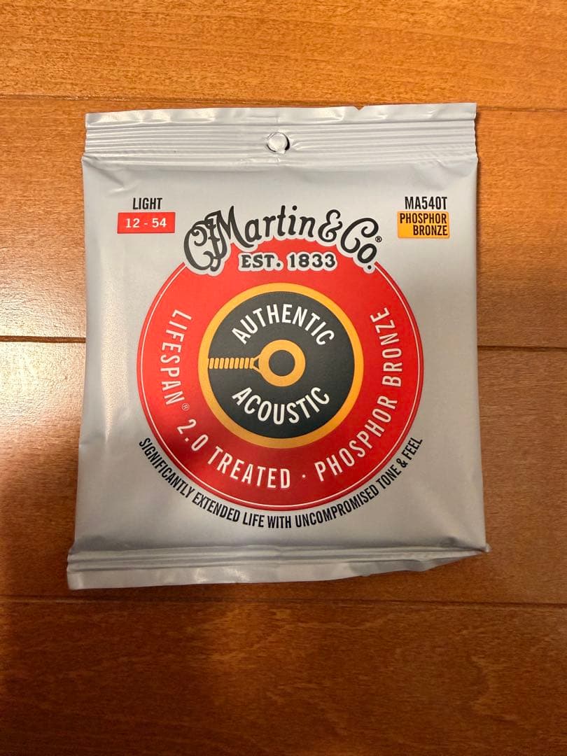 【本日まで値下げ】Martin ギターGPC-11E ｜付属品多数