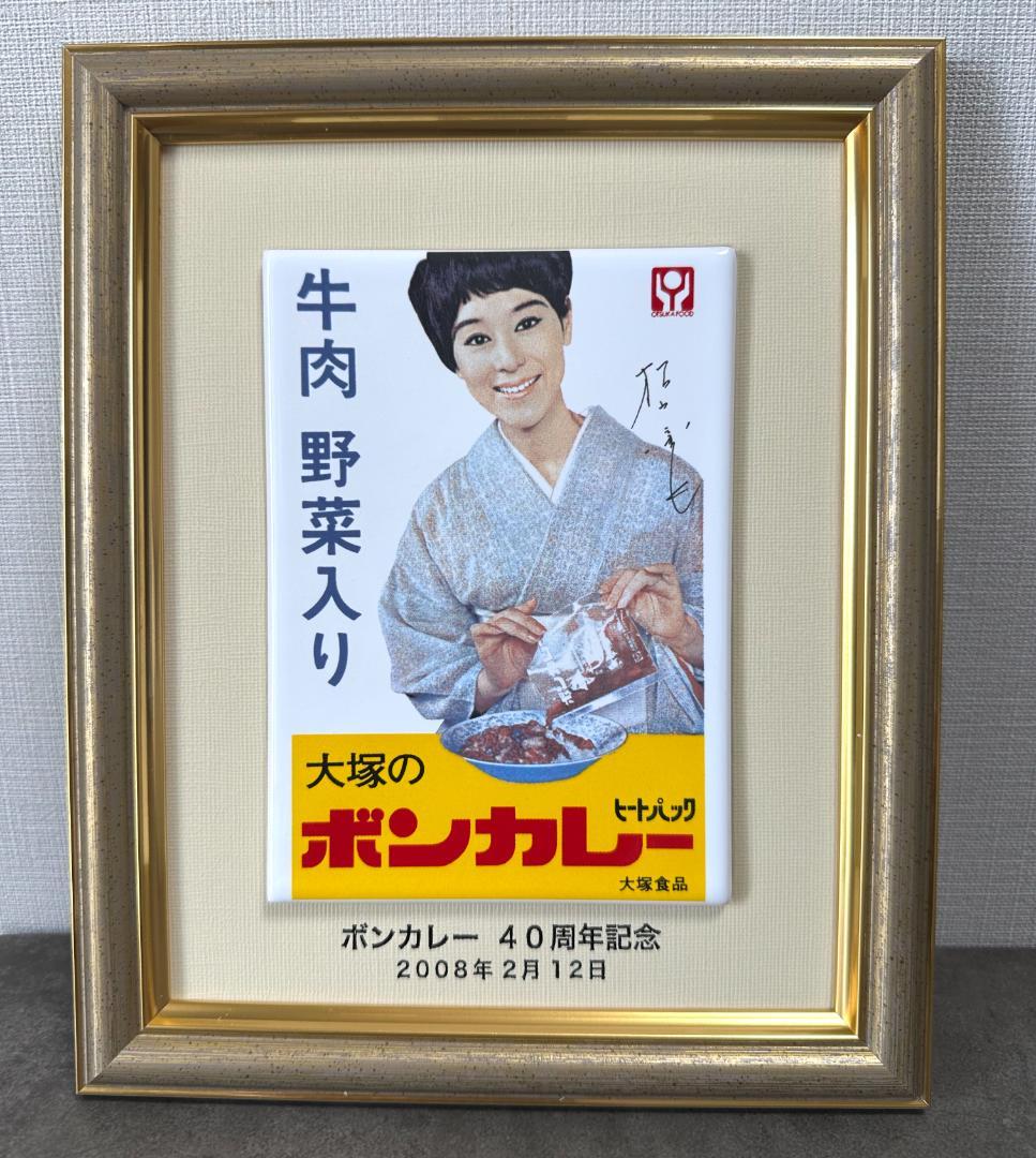 【レアもの】大塚のポンカレー 40周年記念セラミックプレート