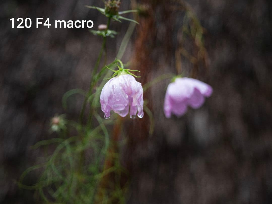 PENTAX 645Z オーバーホール済・レンズ3本付き豪華撮影スタートセット