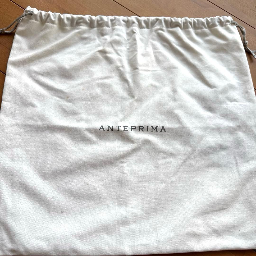 アンテプリマワイヤーバッグスタンダード スクエア ラージ シルバーゴールド