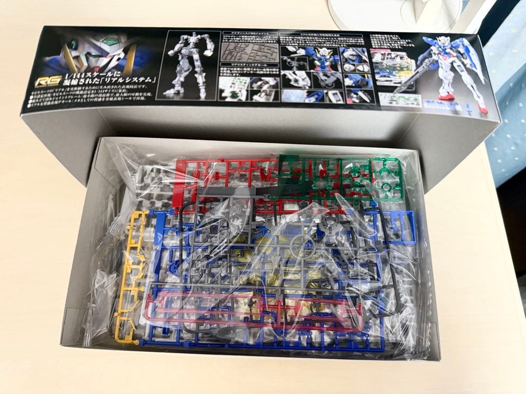 HG GNアームズ TYPE-E〔REAL COLOR〕＆RGガンダム エクシア