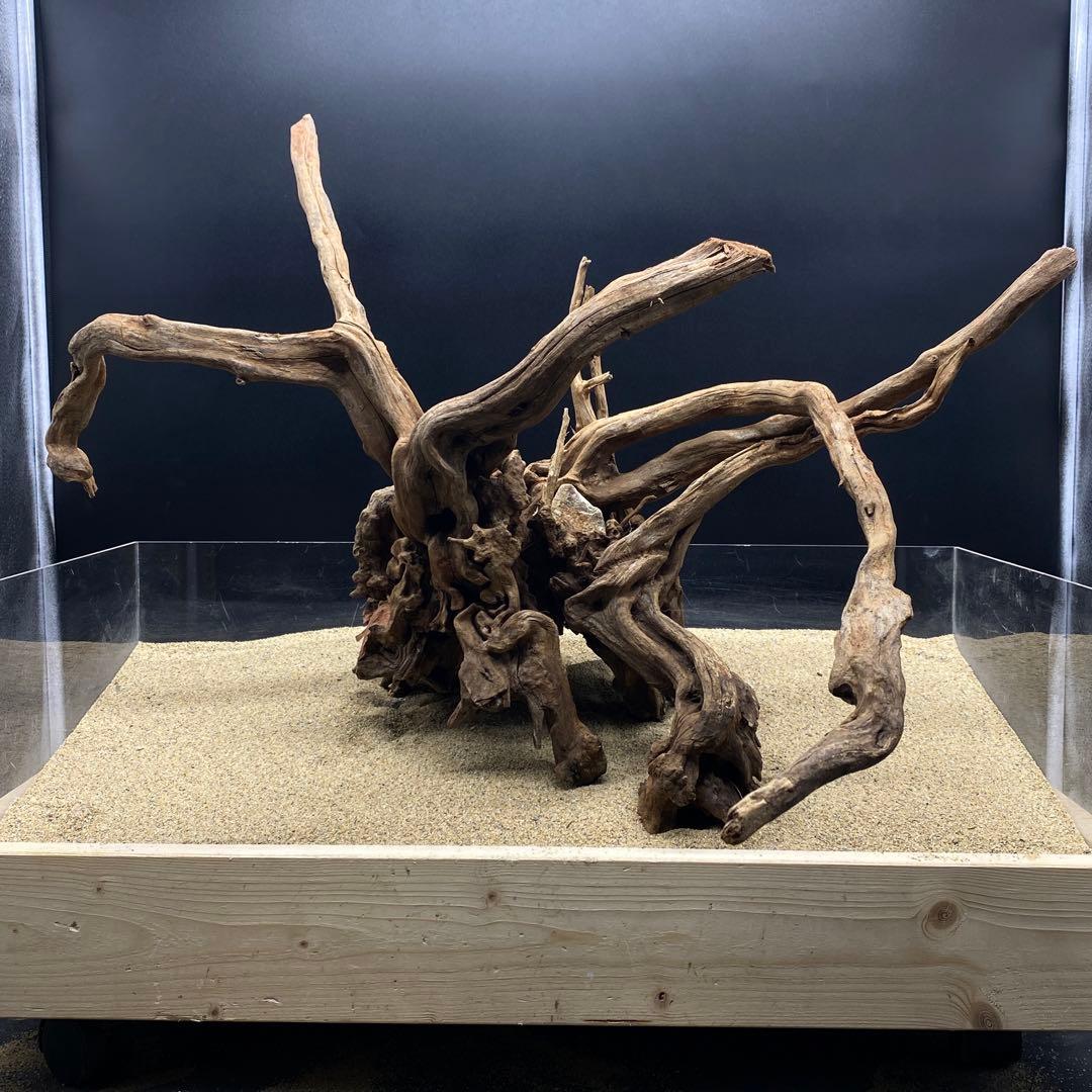 MSRW-6625 特大天然流木1点物　スリムウッド　アクアリウム