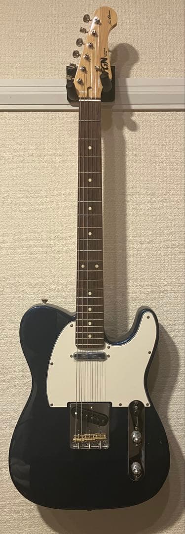 ギター FGN FUJIGEN NTL10RAL OLP